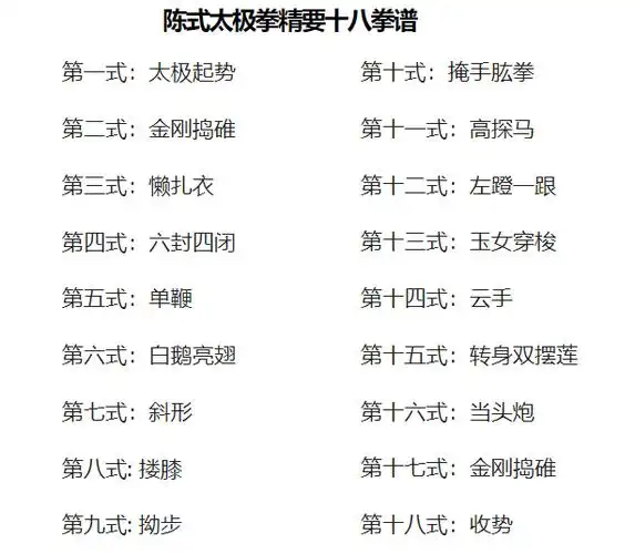 陈式老家一路精要18式