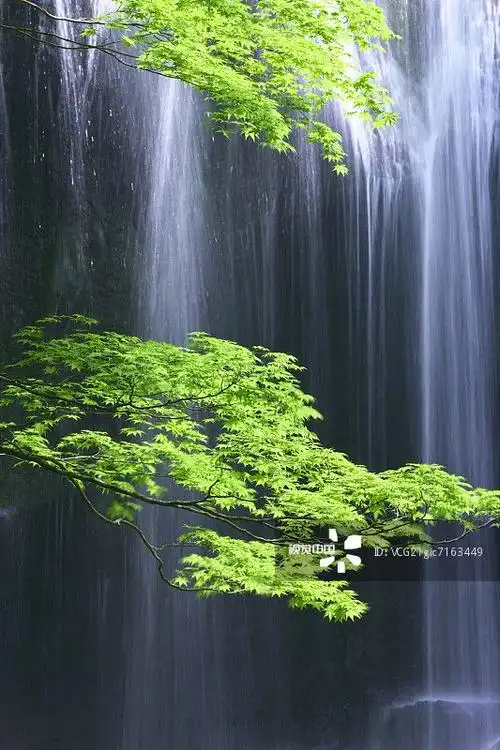 视觉中国 - 创意类详情