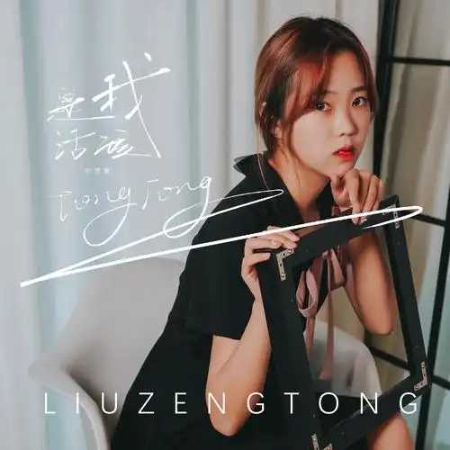 刘增瞳是我活该dj阳山伟伟版