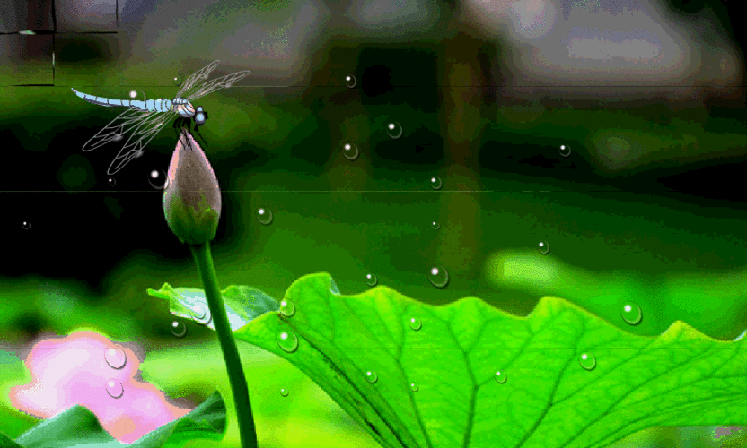 867_521gif 动态图 动图