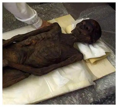 她是好莱坞当红女星,走红后突然失踪,发现时已成一具僵硬的干尸