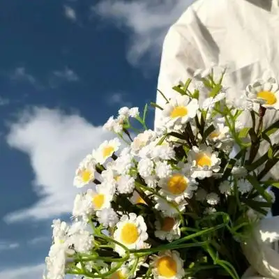 那个喜欢雏菊的男生要回来了_风景静物头像_我要个性网