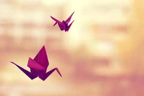 千纸鹤的心愿唯美小清新图片