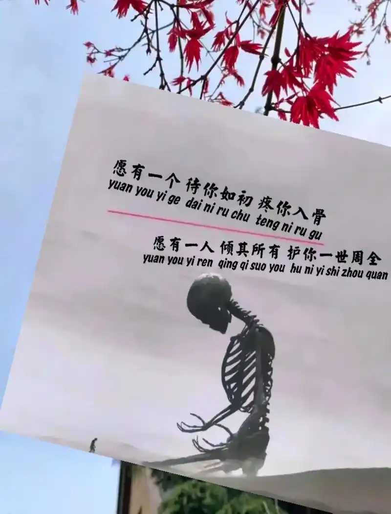 狗和狗见面不是吻就是添,人和人见面不是骗就是演,其实我不讨厌 - 抖