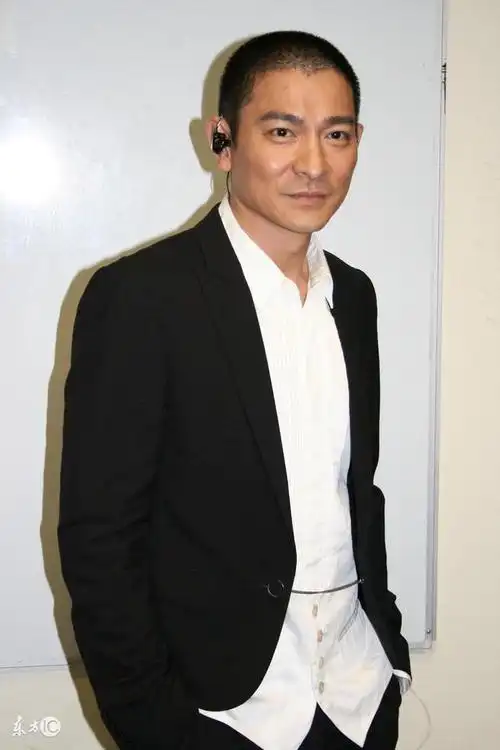 终于知道刘德华为什么不肯娶梅艳芳了,背后原因很无奈!