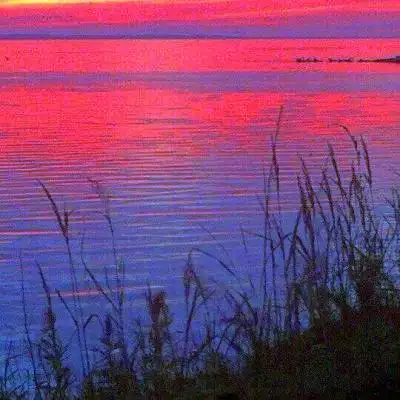 唯美风景头像图片大全高清