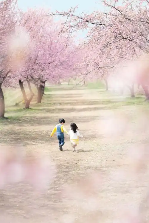 日本一老爸偷拍儿女照片火遍朋友圈暖哭无数人爱你就是目送你的背影渐