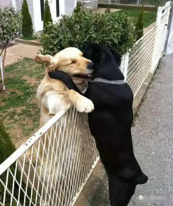 你们今天秀恩爱的时候,能不能屏蔽我.