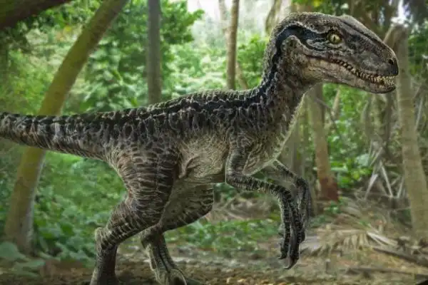 恐龙种类名称及图片生态平均约76吨最重14