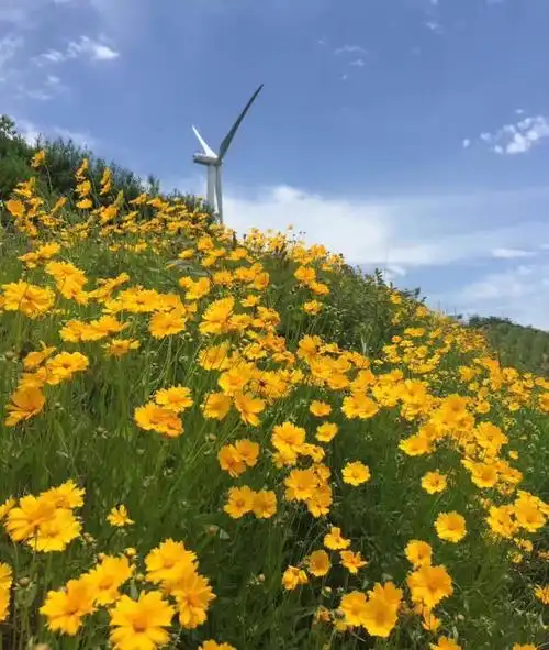 走过春夏,走过风景
