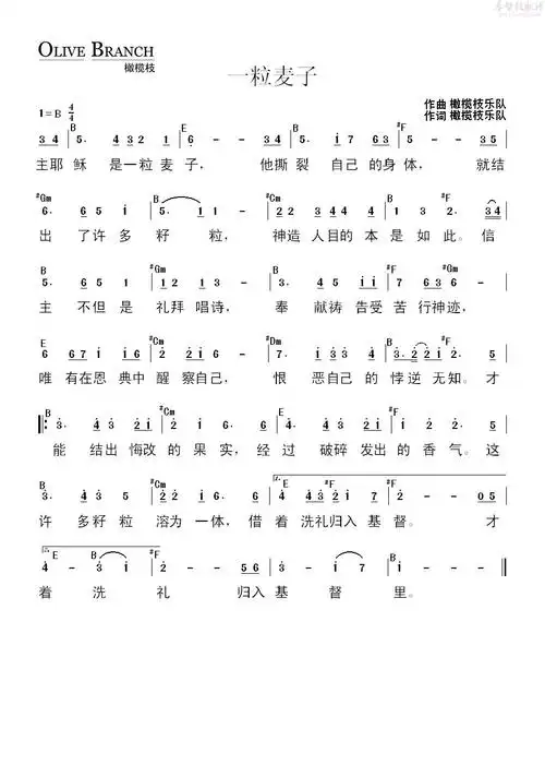 一粒麦子(简谱)_橄榄枝乐队_基督教歌谱大全,赞美诗歌歌谱下载
