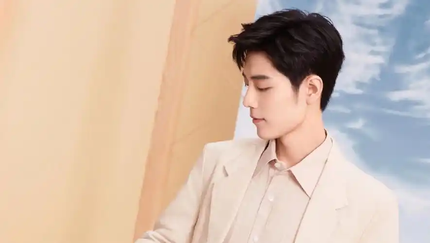 电脑壁纸  #高清壁纸  #肖战  #肖战的小飞侠