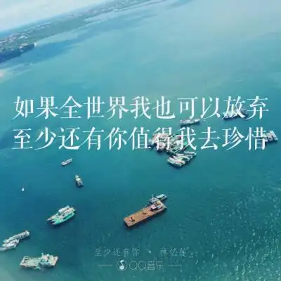 林忆莲至少还有你