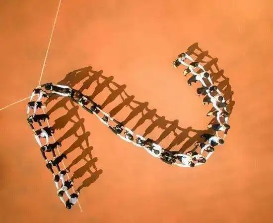 创意集体照拍摄这10个造型超经典