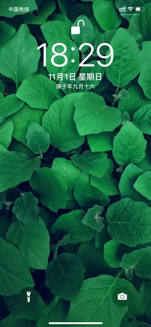 「潮图壁纸」green 绿色系手机壁纸