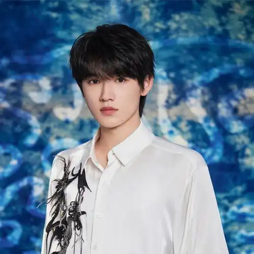 宋亚轩明星个人信息大全-天空影院