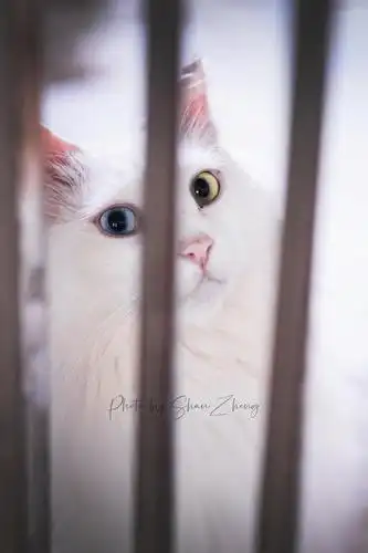 不定期更新分享一些自己拍的照片儿