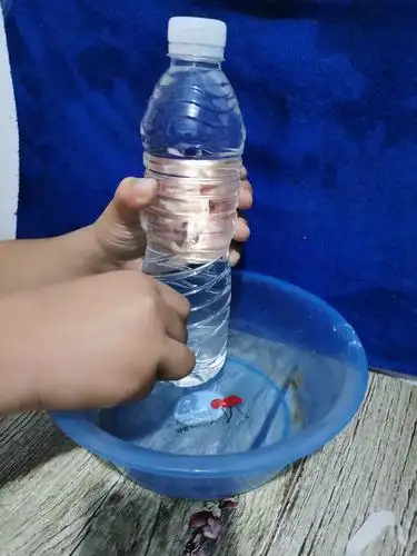 科学实验:自制喷泉