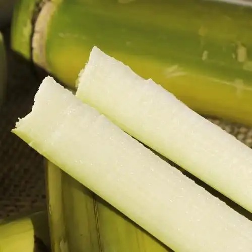 云南绿皮甘蔗新鲜水果孕妇当季青皮黄皮整根清甜多汁9斤-10斤包邮