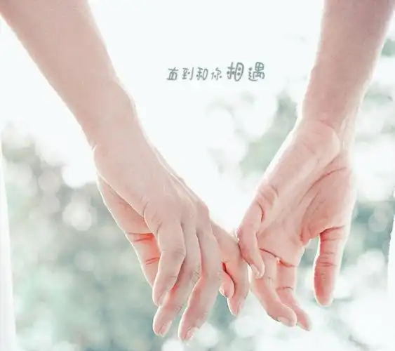 相遇的唯美句子20句1,遇见你,是我人生中最美的点缀,因你的陪伴,我不