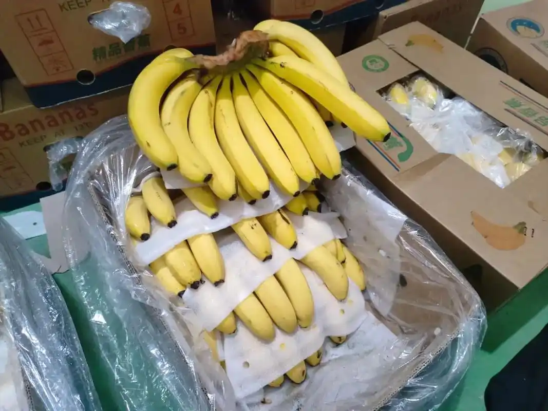 黄香蕉还多多多#香蕉94 #黄香蕉香蕉批发 - 抖音