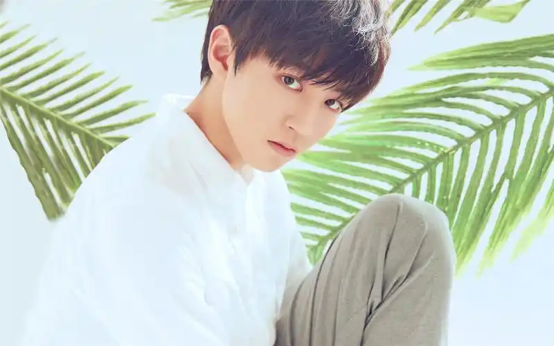 tfboys白衬衫帅气写真高清电脑桌面壁纸