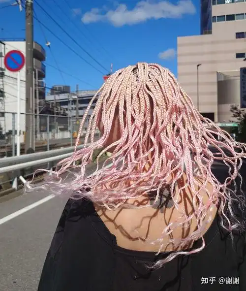 74沈阳脏辫72非洲细辫儿酷的一批