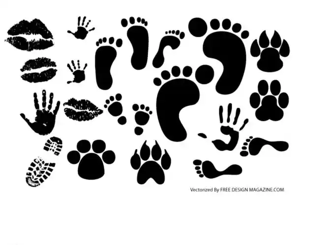 唇印脚印动物脚图片