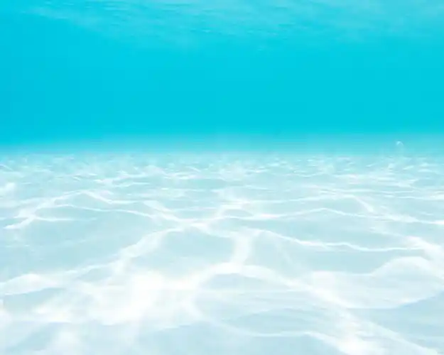 高清晰海洋水下壁纸