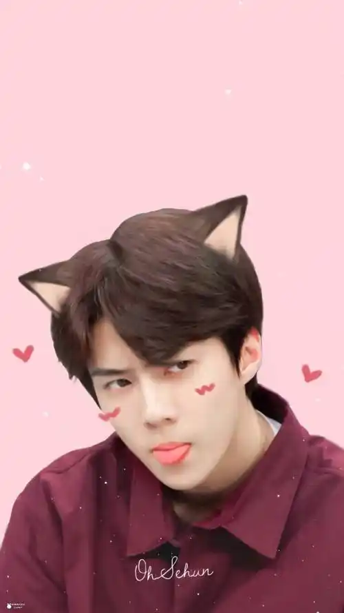 吴世勋sehun可爱壁纸