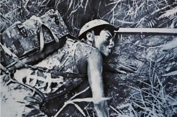 一个连仅剩瞎眼战士存活,老山712复仇作战:600越军,存活六人