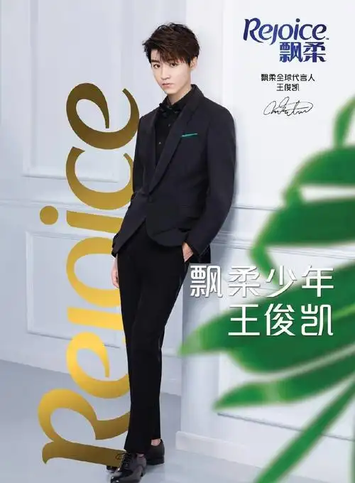 2018年8月27日,王俊凯成为飘柔全球代言人.