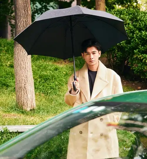 看预告想说陈晓"接烂片你糊涂啊",没想到一口气追6集