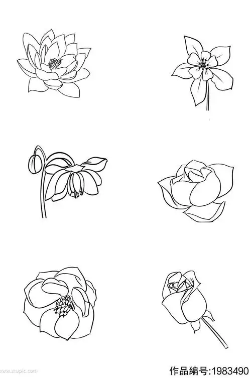 手绘线条玫瑰花花朵免扣元素