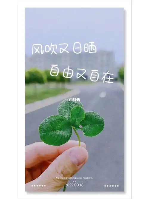 祝好运!四叶草92