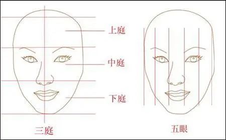 求动漫人物详细的三庭五眼分析图【男女各要一张】和动漫人物各个方向