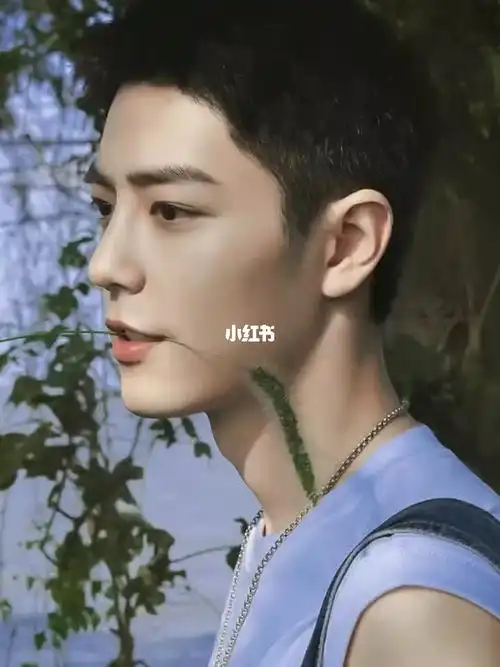 此时此刻好想变成一支狗尾巴草#肖战