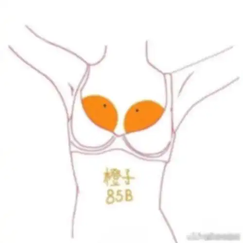 罩杯评判新标准,所以.你是哪一种水果?