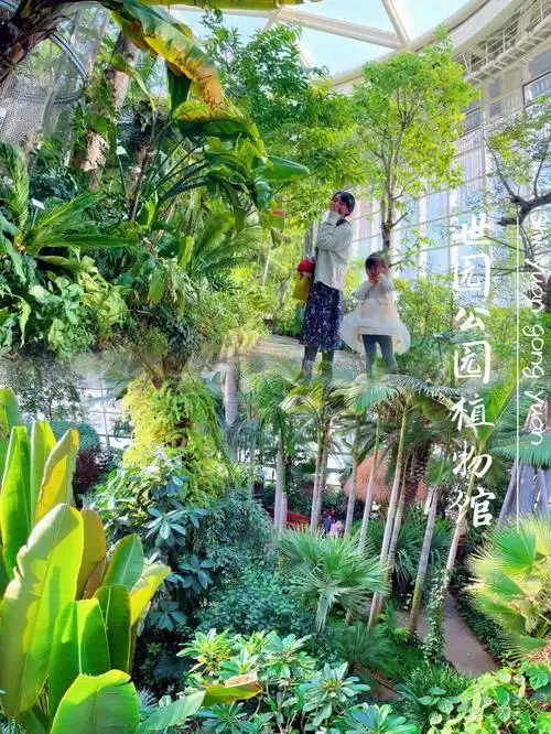 北京遛娃必去四季如春的植物馆超好出片
