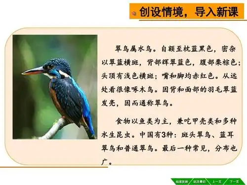 三年级下册语文课件-第5课 翠鸟第一课时|人教新课标ppt