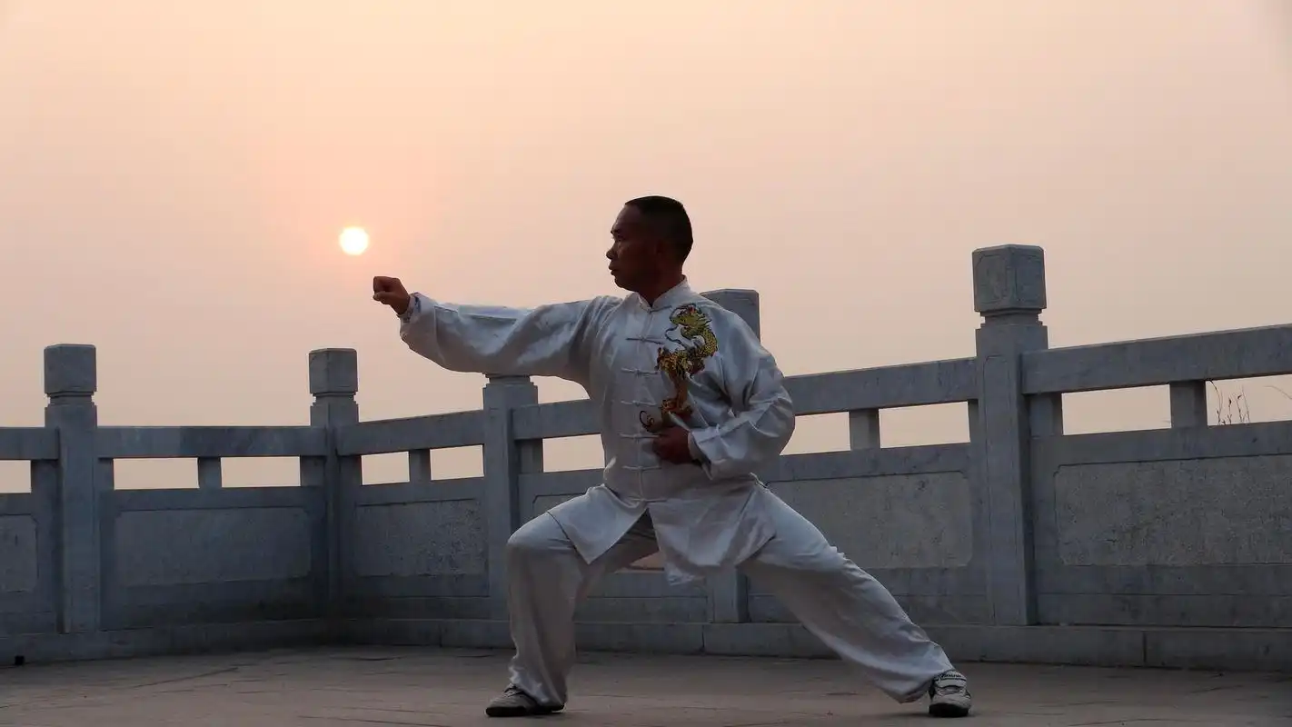 陈氏太极拳功夫架定式