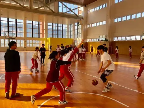 2019篮球选修课