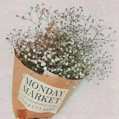 满天星头像女生专用高清图片好看的满天星唯美图片大全