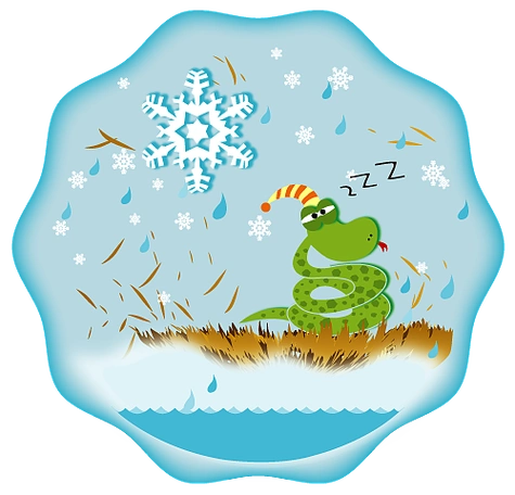 蛇冬眠,气温低.