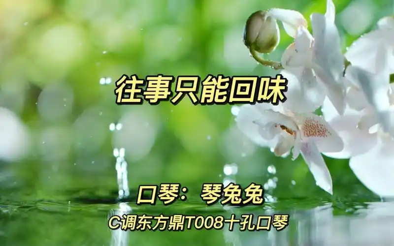 口琴:往事只能回味 琴兔兔