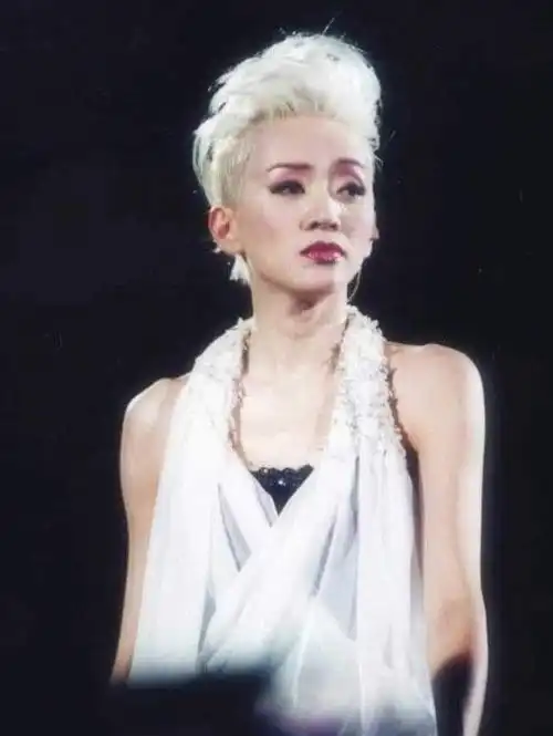 分享我没见过的梅艳芳