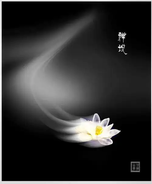 云卷云舒禅意荷