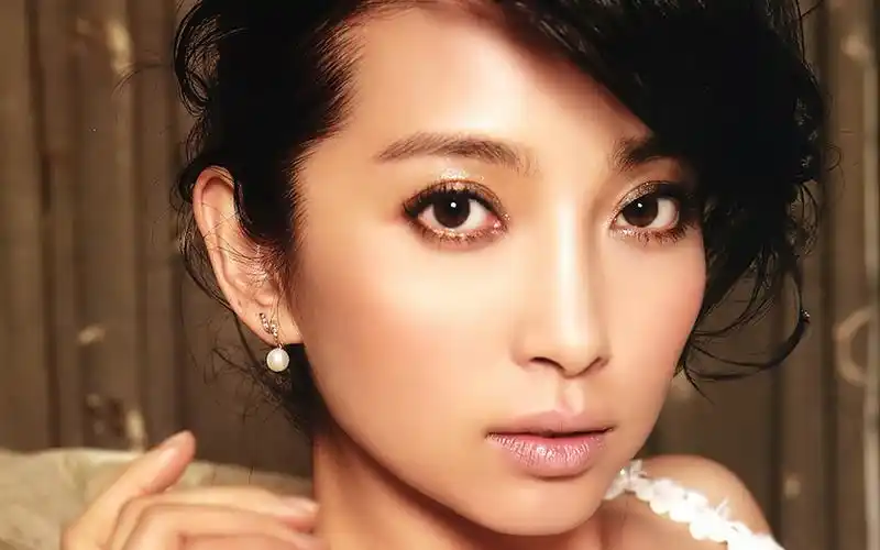 李冰冰 唯美壁纸