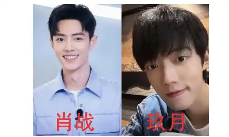 肖战撞脸三大明星