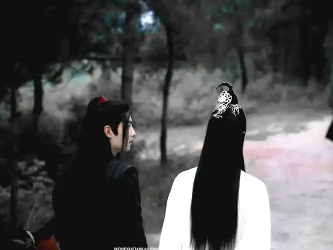 肖战魏无羡##王一博蓝忘机